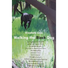 Walking the Black Dog