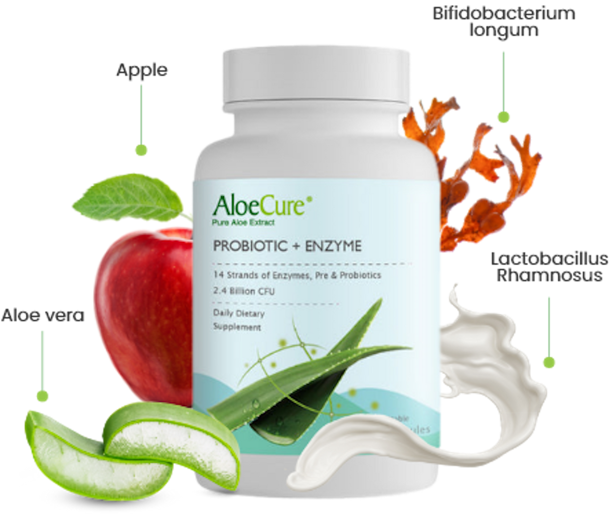 Pre+Probiotic & Digestive Enzyme Blend by AloeCure