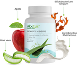 Pre+Probiotic & Digestive Enzyme Blend by AloeCure