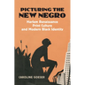 Picturing the New Negro: Harlem Renaissance Print Culture and Modern Black Identity