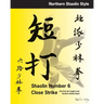 Shaolin #6 Close Strike: The First Set Taught in the Northern Shaolin Style