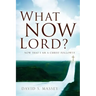 What Now Lord?