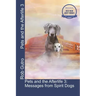 Pets and the Afterlife 3: Messages from Spirit Dogs