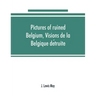 Pictures of ruined Belgium, Visions de la Belgique détruite