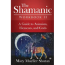 The Shamanic Workbook II: A Guide to Animism, Elements, and Grids