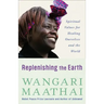 Replenishing the Earth: Spiritual Values for Healing Ourselves and the World
