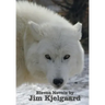 Eleven Novels by Jim Kjelgaard (complete and unabridged) including: The Spell of the White Sturgeon, The Lost Wagon, Trading Jeff and his Dog, Double