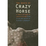 The Death of Crazy Horse: A Tragic Episode in Lakota History