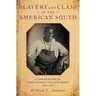 Slavery & Class in the American South C