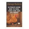 Raising Chickens: Ultimate Guide How To Feed, Take Care and Get Profit