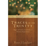 Traces of the Trinity: Signs of God in Creation and Human Experience