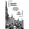 Anabaptist Meditations: Thirty days of Biblical Reflection from the Founders of the Tradition