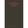 The Pyromaniac Images: Theory-Fiction of Generative AI