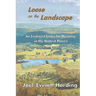 Loose on the Landscape