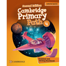 Cambridge Primary Path Level 4 Grammar and Writing Workbook