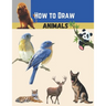 how to draw animals: For Beginners To Intermediate Drawers Of All Ages