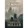 Paladin and Necromancer