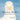 Marine Birds: from the Northeast Coast