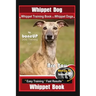 Whippet Dog, Whippet Training Book for Whippet Dogs By BoneUP DOG Training Are You Ready to Bone Up?: Easy Training * Fast Results, Whippet Book