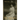 My Antonia: A novel by Willa Cather