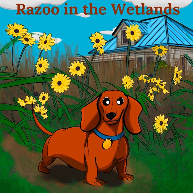 Razoo in the Wetlands - Paperback by Books by splitShops