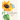 The Art & Poetry of Travelers: Volume One