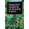 Please don't trample us; we are trying to grow