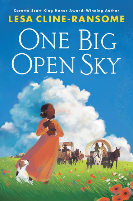 One Big Open Sky - Hardcover by Books by splitShops