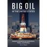 Big Oil in the United States: Industry Influence on Institutions, Policy, and Politics