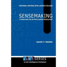 Sensemaking: A Structure for an Intelligence Revolution