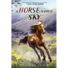 A Horse Named Sky