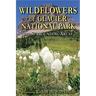 Wildflowers of Glacier National Park: And Surrounding Areas
