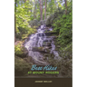 Best Hikes at Mount Rogers