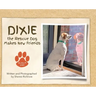 Dixie the Rescue Dog Makes New Friends