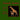 Animali, Amimals