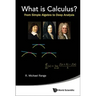 What Is Calculus?: From Simple Algebra to Deep Analysis