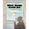 What Should Cookie Do?: Thunderstorms