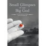 Small Glimpses of Our Big God: A 60 Day Journey to Seeing God in Everyday Life
