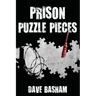 Prison Puzzle Pieces: The realities, experiences and insights of a corrections officer doing his time in Historic Stillwater Prison