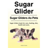 Sugar Glider. Sugar Gliders As Pets. Sugar Gliders book for care, feeding, diet, health and costs.