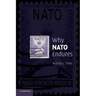 Why NATO Endures