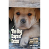The Dog Days of Dixon: Incredible stories of love and healing in a rural New Mexico Rescue