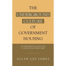 The Underground Culture of Government Housing: An Introspective Look into a Fascinating Subculture