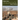 U.S. Marines in Battle: Fallujah, November-December 2004