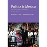 Politics in Mexico: The Path of a New Democracy