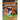 Netherlands National Soccer Teams: Ultimate Fan Guide