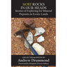 More Rocks in Our Heads: Stories of Exploring for Mineral Deposits in Exotic Lands