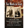 Tar Heels in Gray: Life in the 30th North Carolina Infantry in the Civil War