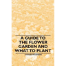 A Guide to the Flower Garden and What to Plant