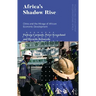 Africa's Shadow Rise: China and the Mirage of African Economic Development